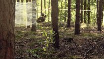 54487418980176bfe1efeb77aef85810 BIAŁY BRZEG 30.07.2020 - Imprezy integracyjne, Pikniki dla Firm, Paintball, Wieczory kawalerskie, Imprezy integracyjne Częstochowa, Bełchatów, Łódź.