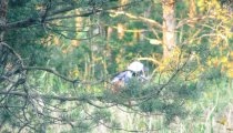 55395121ece1bbe6bce487f617cb3d71 ZARZECZE 11.08.2018 GRUPA III - Imprezy integracyjne, Pikniki dla Firm, Paintball, Wieczory kawalerskie, Imprezy integracyjne Częstochowa, Bełchatów, Łódź.