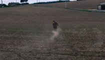 828e06a8de824db7825564d34185d35c WAPIENNIKI 18.08.2018 GRUPA II - Imprezy integracyjne, Pikniki dla Firm, Paintball, Wieczory kawalerskie, Imprezy integracyjne Częstochowa, Bełchatów, Łódź.