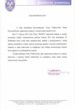 referencje elektrownia kamiensk